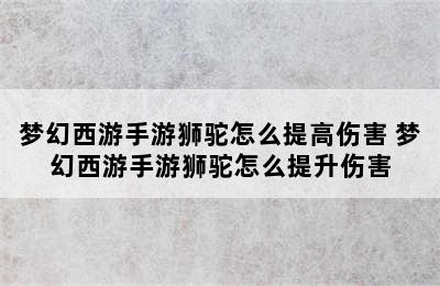 梦幻西游手游狮驼怎么提高伤害 梦幻西游手游狮驼怎么提升伤害